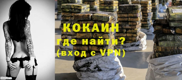 гашик Пересвет