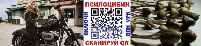 нарко площадка формула  Печора  Псилоцибиновые грибы мухоморы 