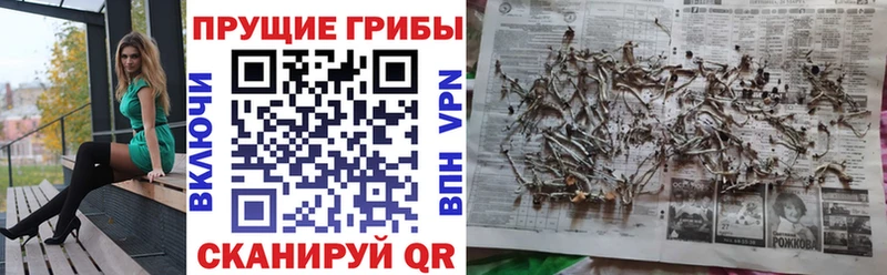 Псилоцибиновые грибы прущие грибы Печора